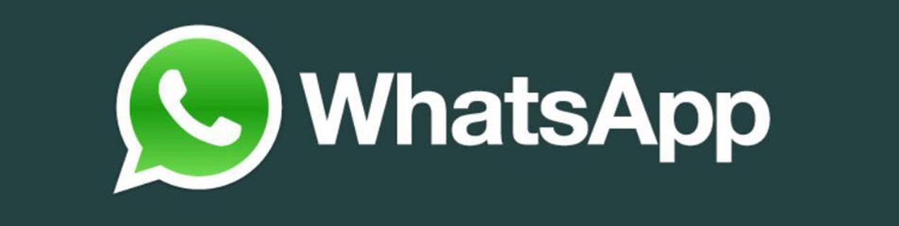 newsletter whatsapp